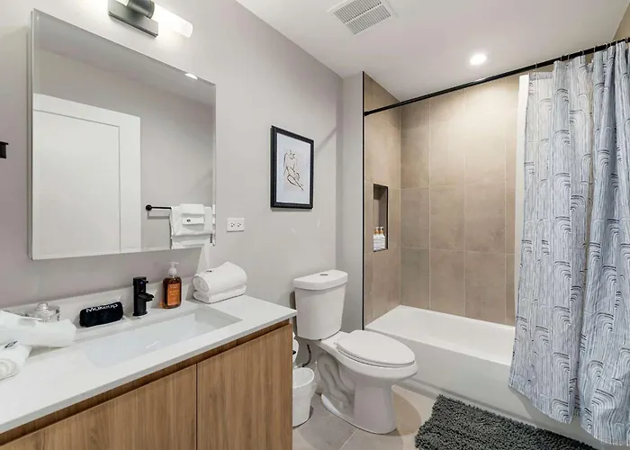 2bd 2ba Condo- Steps To With Gym & Parking Chicago